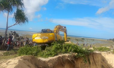 Gunakan Alat Berat, Bangkai Ikan Paus Sperma Dikubur Di Tepi Pantai