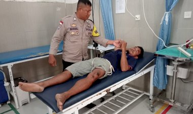 Tabrak Sapi,Seorang Pengendara Motor Dilarikan Ke Puskesmas Oehandi Oleh Bhabinkamtibmas