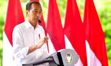 Presiden Jokowi Apresiasi TNI-Polri Atas Kebebasan Pilot Susi Air