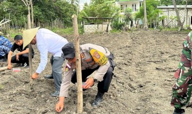 Dukung Asta Cita Pemerintah,Polres Rote Ndao Lakukan Penanaman Tanaman Produktif Untuk Menigkatkan Ketahanan Pangan