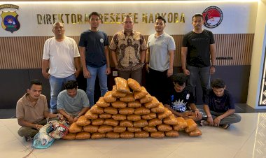 Polisi Gagalkan Peredaran 47 Kg Ganja di Sumbar, 4 Tersangka Ditangkap