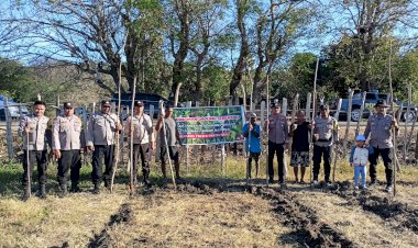 Dukung Asta Cita Pemerintah, Polsek Pantaibaru Bersama Masyarakat Menggelar Penanaman Jagung Di Desa Tungganamo