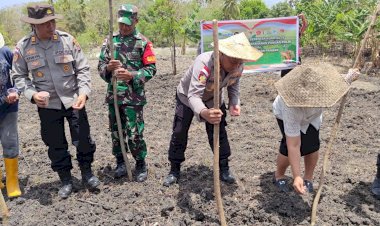 Polres Rote Ndao Lakukan Tanam Jagung Kuartal IV, Dukung Swasembada Pangan Asta Cita Pemerintah