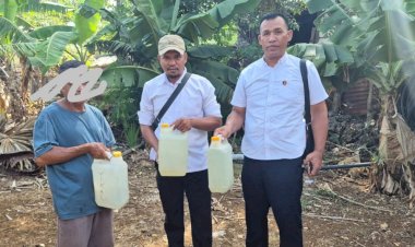 65 Liter Sopi Berhasil Diamankan Sat Resnarkoba Polres Rote Ndao