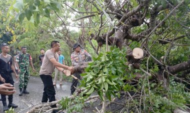 Kapolres Rote Ndao Bersama Personel Buka Akses Jalan Karena Adanya Pohon Tumbang
