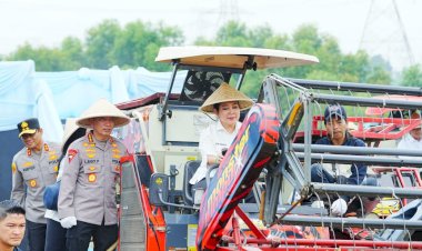 Kapolri-Ketua Komisi IV Pimpin Panen Raya Jagung Serentak, Wujud Nyata Dukung Ketahanan Pangan Nasional