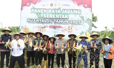 Kapolda NTT Pimpin Panen Raya Jagung Kuartal IV 2025, Perkuat NTT sebagai Lumbung Jagung Nasional