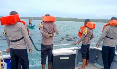 Kapolsek RBD : Personel Polsek RBD dan Nelayan  Giring Sekawanan Paus Pilot ke Perairan Lebih Dalam