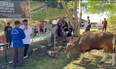 Kapolres Rote Ndao  dan Anggota Sembelih 5 Ekor Sapi dan 6 Ekor Kambing Kurban