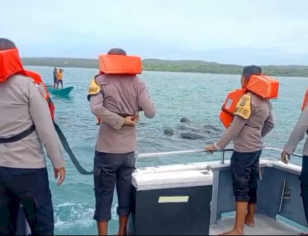 Kapolsek RBD : Personel Polsek RBD dan Nelayan  Giring Sekawanan Paus Pilot ke Perairan Lebih Dalam