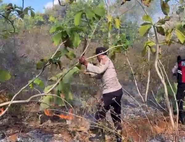 Dengan Alat Seadanya, Personel Polsek Rote Barat Berjibaku Padamkan Karhutlah