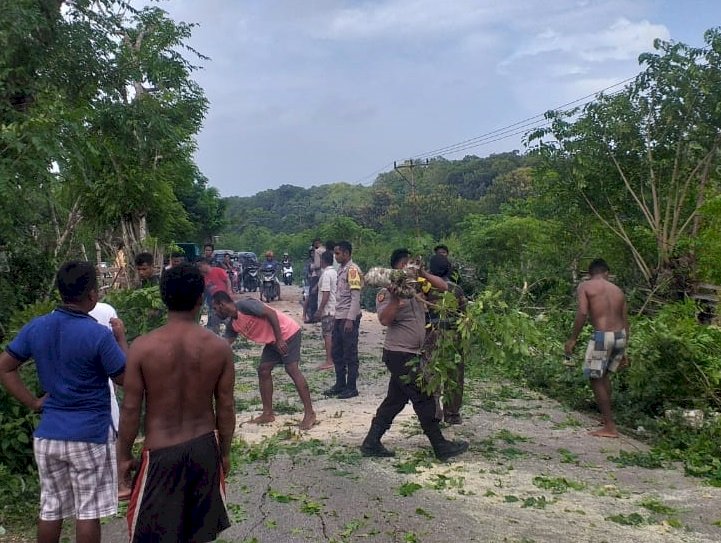 Halangi Jalan Utama, Respon Cepat Polsek Rote Barat Laut Evakuasi Pohon Tumbang
