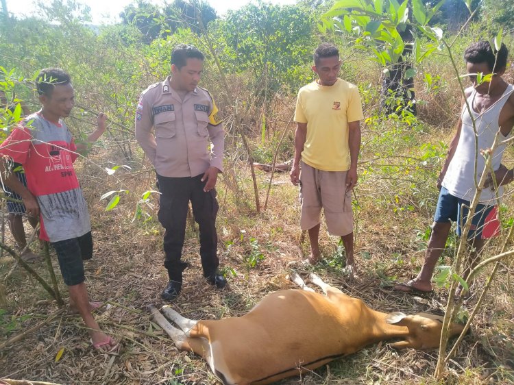 Difasilitasi Bhabinkamtibmas Permasalahan Potong Hewan Berakhir Damai.