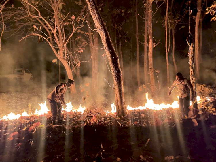 Personel Polsek Rote Tengah,Padamkan Kebakaran Pada Hutan  Negara