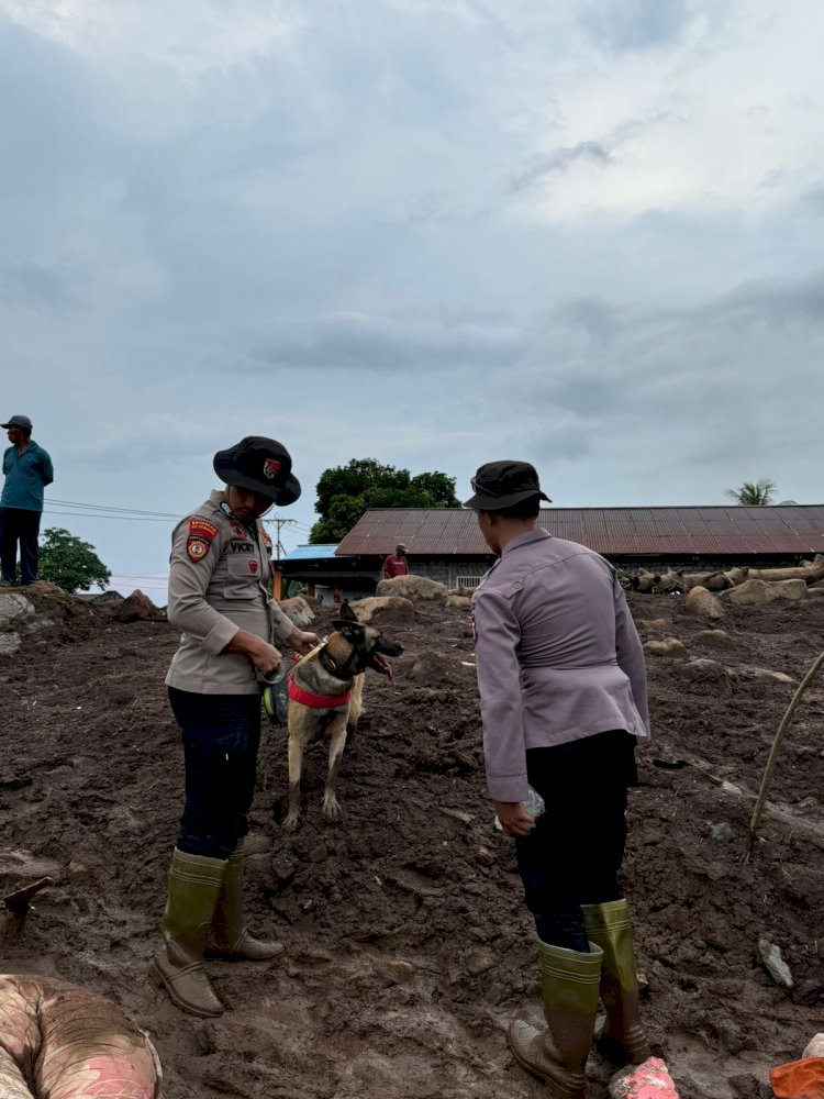 Polri Kerahkan 102 Personel Dan Satu Anjing K9 Cari Korban Longsor Dikelurahan Rua Ternate.