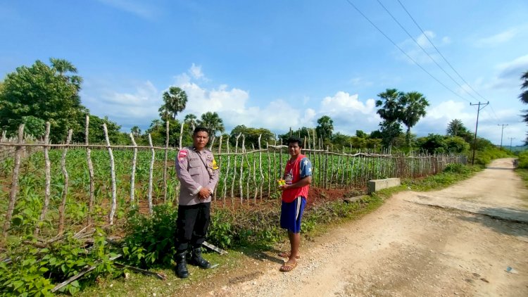 Bhabinkamtibmas Polsek Pantai Baru Serahkan Bantuan Obat Hama kepada Petani