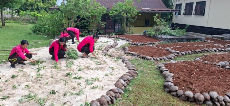 Pemanfaatan Lahan Mapolsek Pantaibaru Untuk Pekarangan Bergizi Oleh Bhayangkari