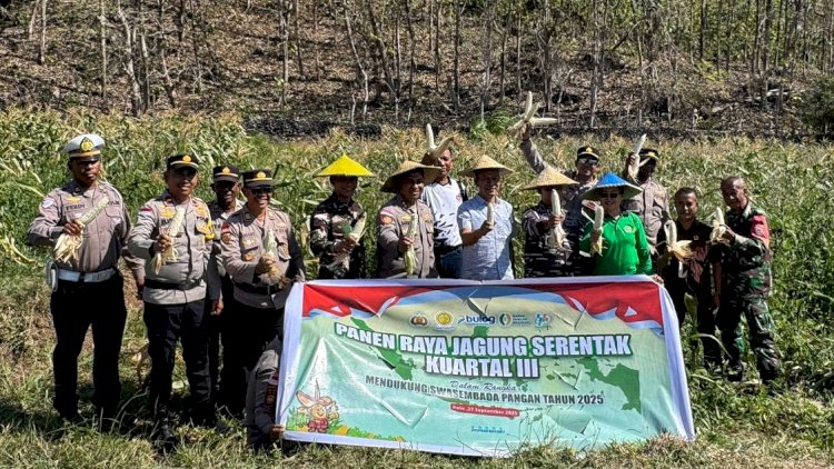 Panen Raya Jagung Kuartal III, Wujud Polri Dukung Asta Cita Pemerintah