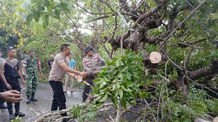 Kapolres Rote Ndao Bersama Personel Buka Akses Jalan Karena Adanya Pohon Tumbang