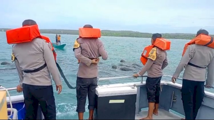 Kapolsek RBD : Personel Polsek RBD dan Nelayan  Giring Sekawanan Paus Pilot ke Perairan Lebih Dalam