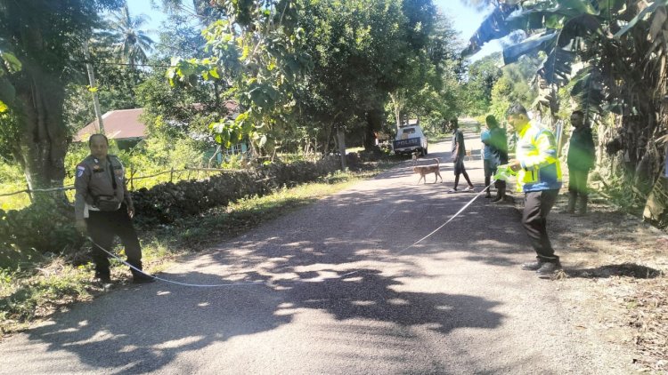 Kapolsek Rote Selatan : Korban Laka Lantas Sudah Ditangani Tim Medis Untuk Perawatan Intensif dan Barang Bukti Telah Kami Amankan