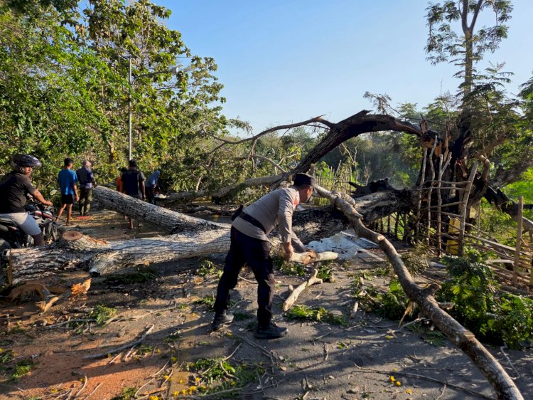 Bersama Warga, Personel Polsek Pantai Baru Bersihkan Material Pohon Tumbang